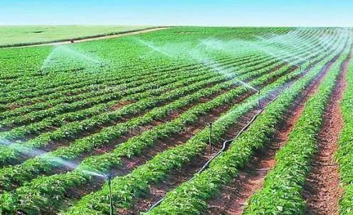 女生C男生的视农田高 效节水灌溉